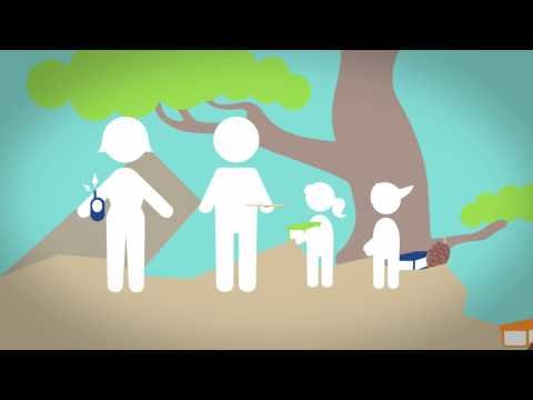וידאו וידאו