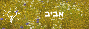 אביב